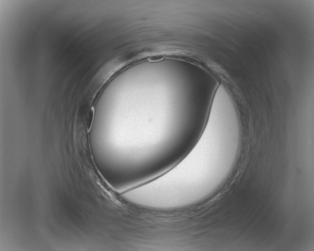 X0000081571177200701151018