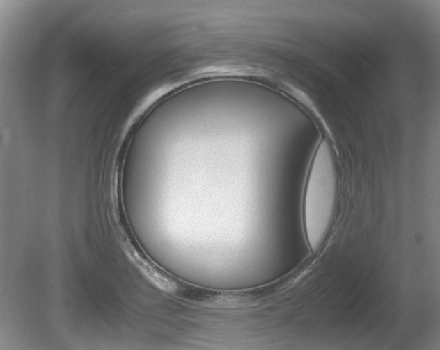 X0000081571179200701151018