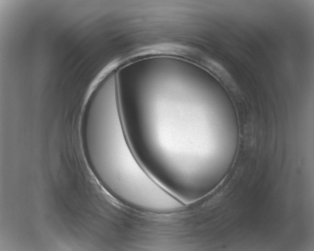 X0000081571180200701151018