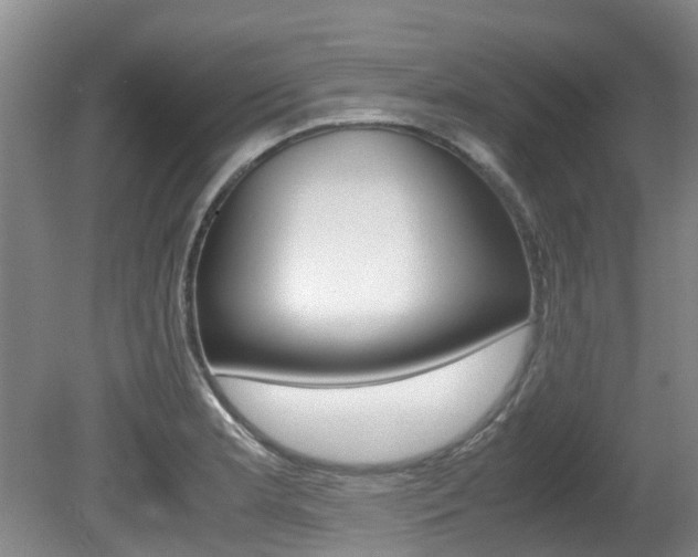 X0000081571181200701151018