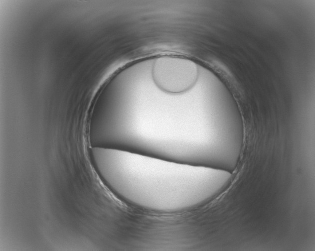 X0000081571182200701151018