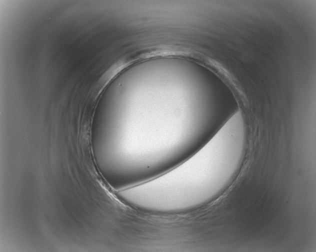 X0000081571185200701151018