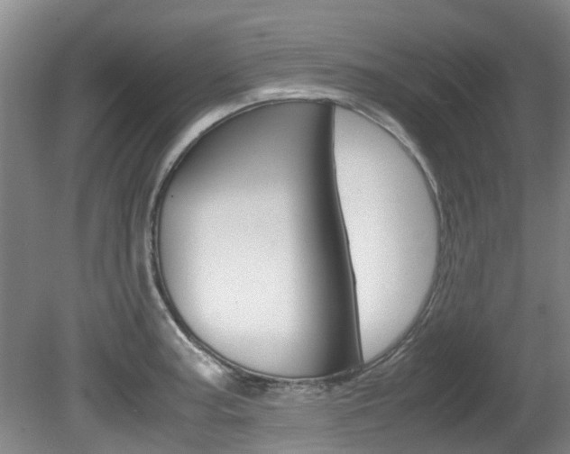 X0000081571187200701151018