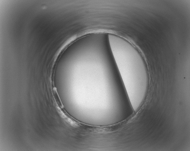 X0000081571189200701151018
