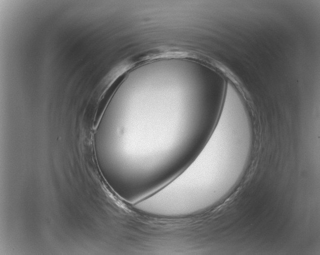 X0000081571193200701151018