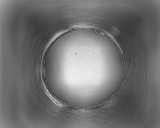 X0000081571195200701151017