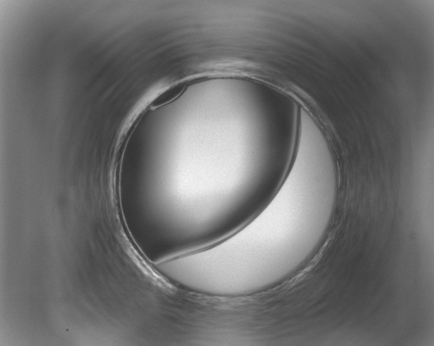 X0000081571196200701151017