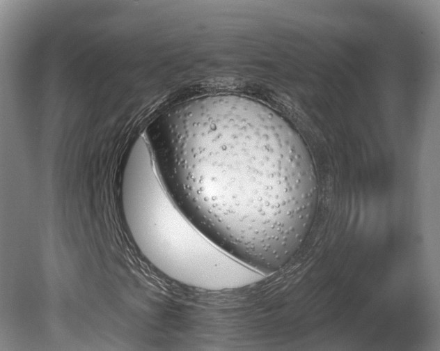 X0000081571201200701151017