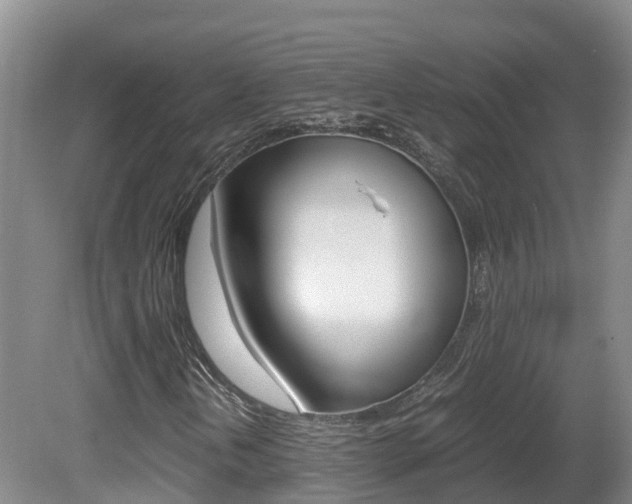 X0000081571202200701151017