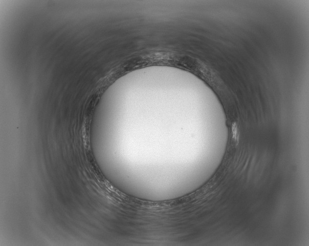 X0000081571203200701151017