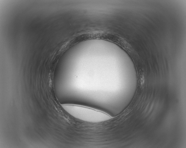 X0000081571204200701151017