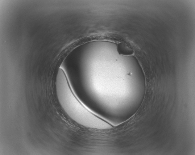 X0000081571206200701151017