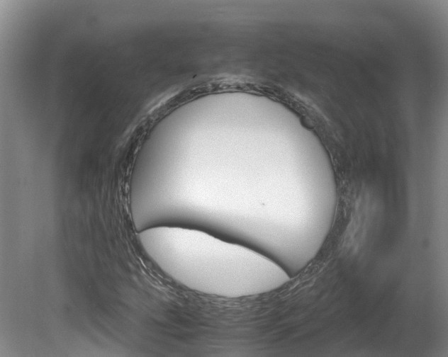X0000081571207200701151017