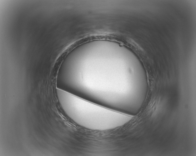 X0000081571208200701151017