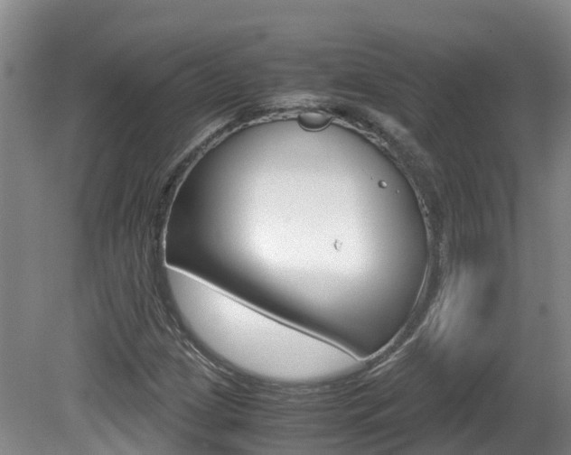 X0000081571209200701151017