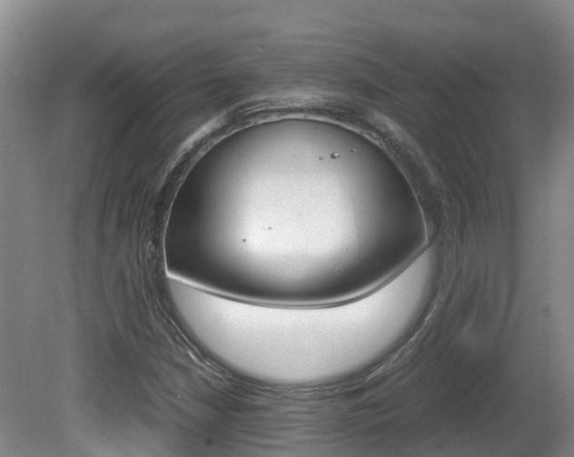 X0000081571210200701151017