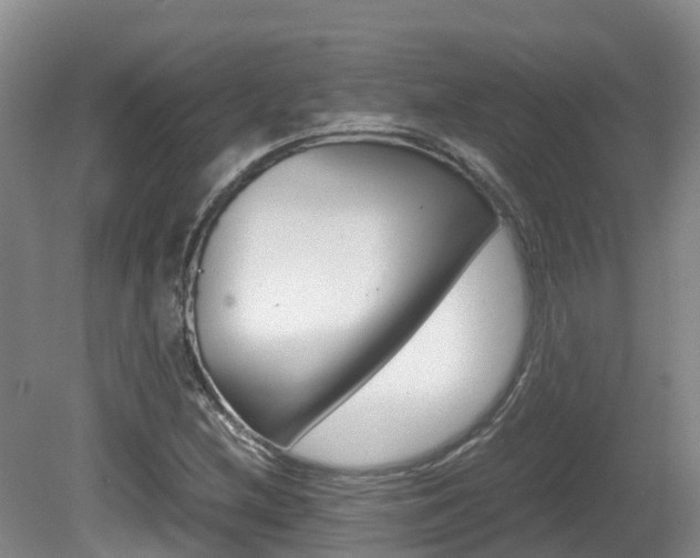 X0000081571212200701151017