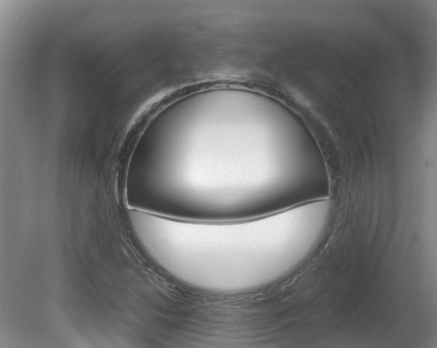 X0000081571214200701151017
