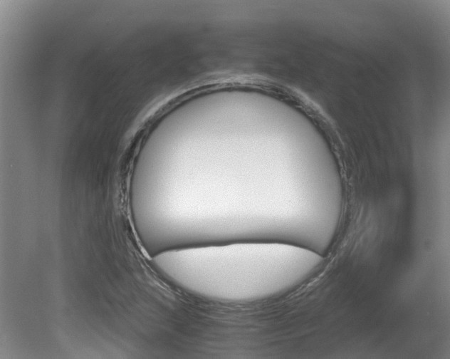 X0000081571215200701151017