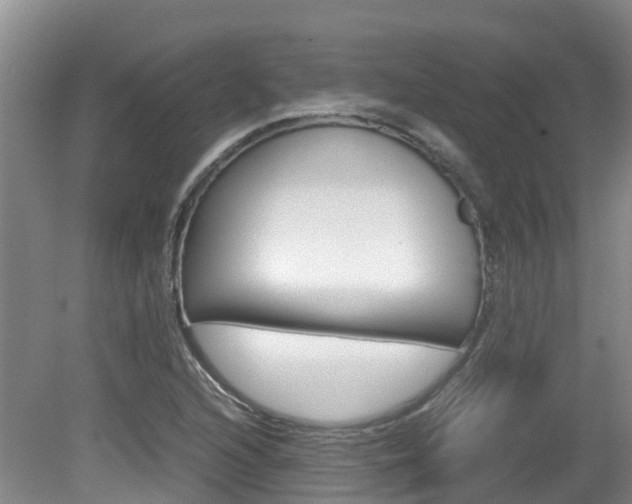 X0000081571216200701151017