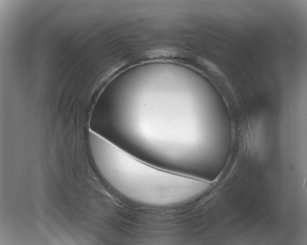 X0000081571217200701151017