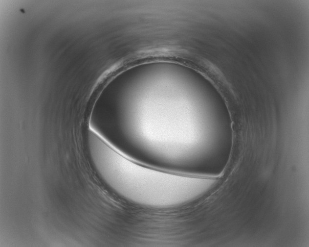 X0000081571218200701151017