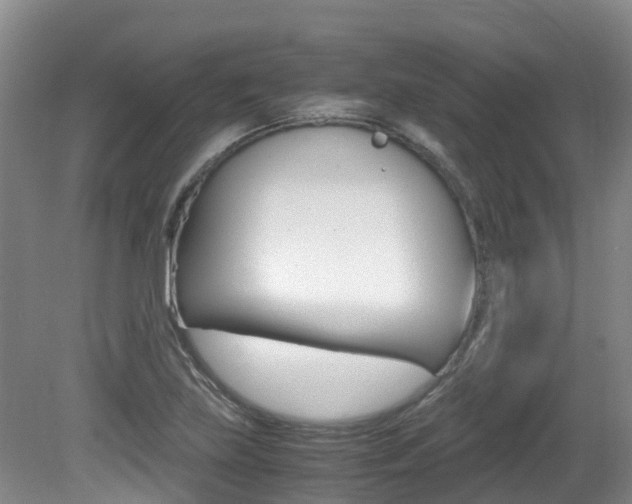 X0000081571219200701151017