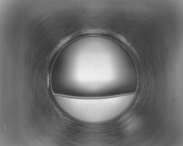 X0000081571221200701151017