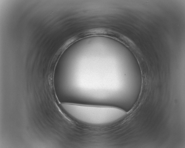X0000081571225200701151017
