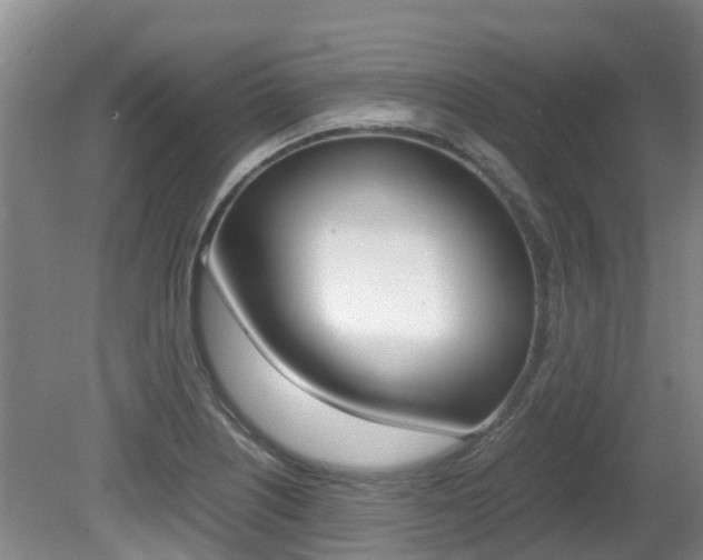 X0000081571226200701151017