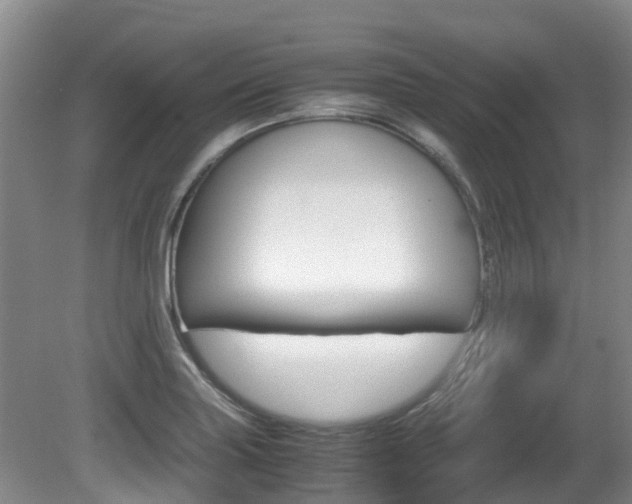 X0000081571227200701151017