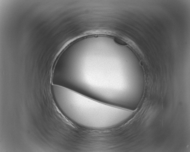 X0000081571228200701151017