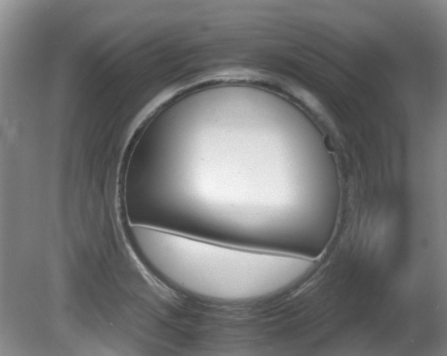 X0000081571229200701151017