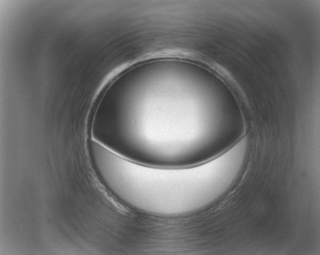 X0000081571230200701151017