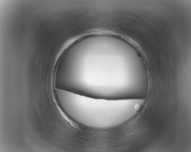 X0000081571231200701151017
