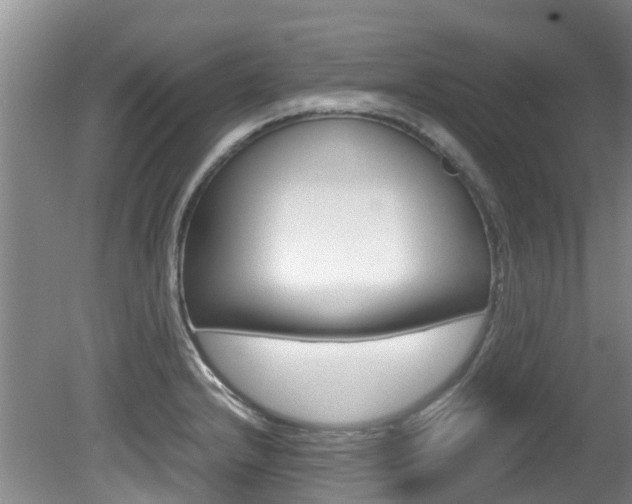 X0000081571232200701151017