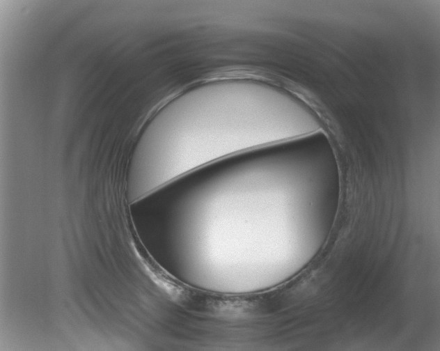 X0000081571233200701151017