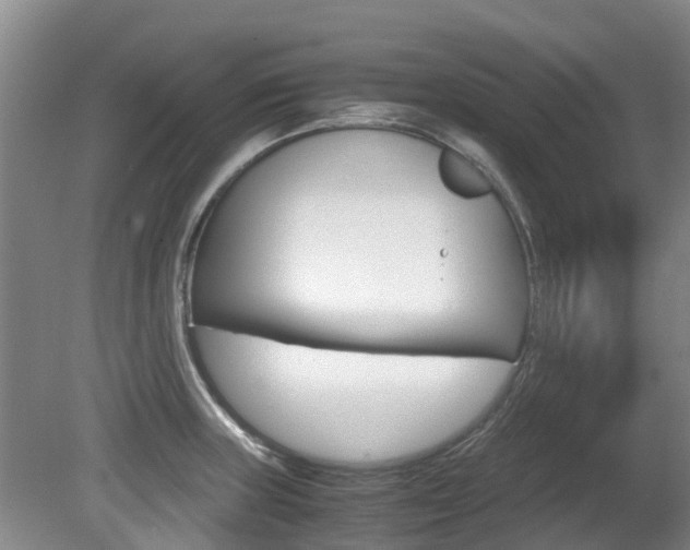 X0000081571235200701151017
