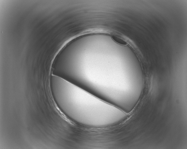 X0000081571236200701151017