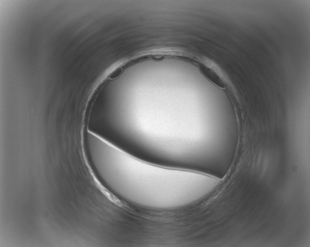X0000081571237200701151017