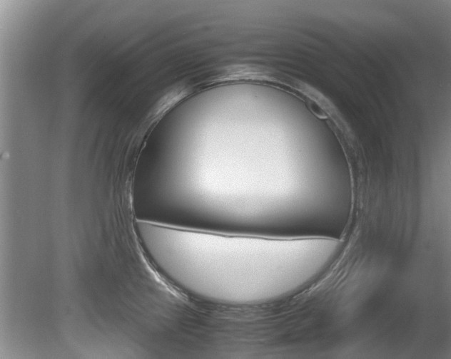 X0000081571241200701151017