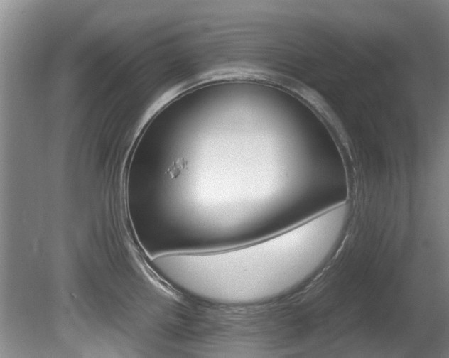 X0000081571242200701151017