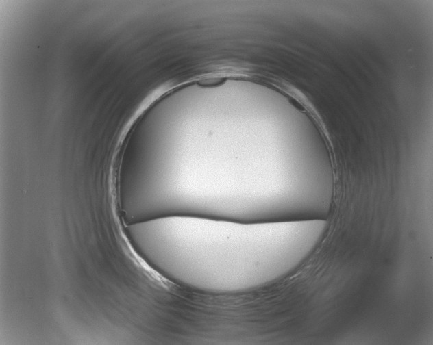X0000081571243200701151017