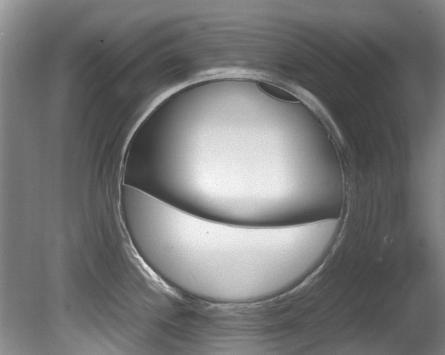 X0000081571244200701151017