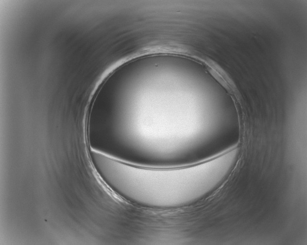 X0000081571246200701151017