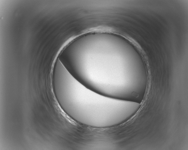 X0000081571248200701151017