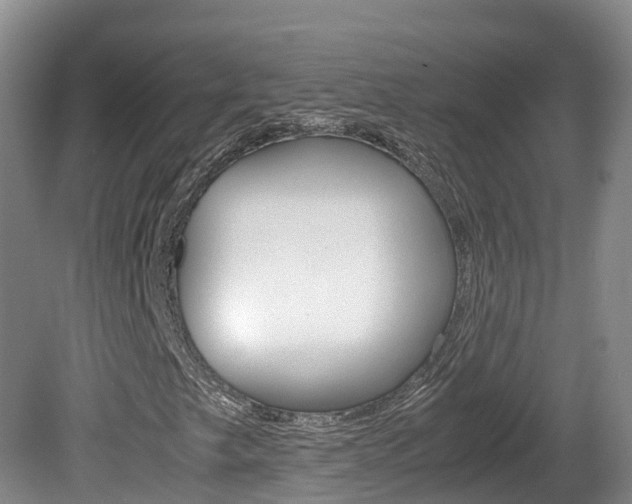 X0000081571249200701151017