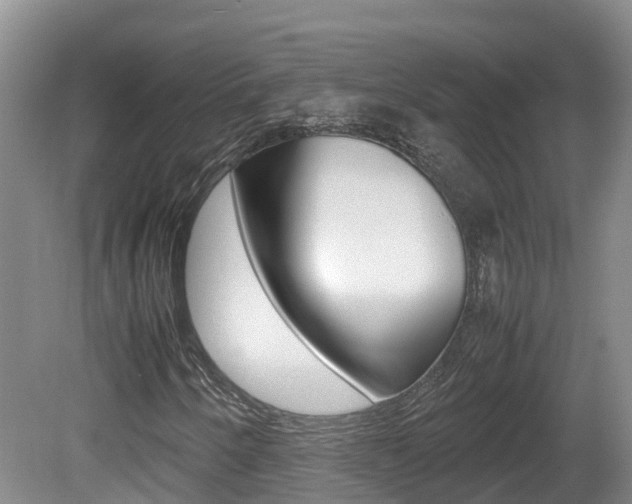 X0000081571250200701151017