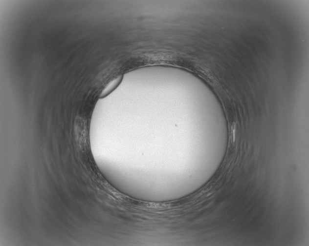 X0000081571251200701151017