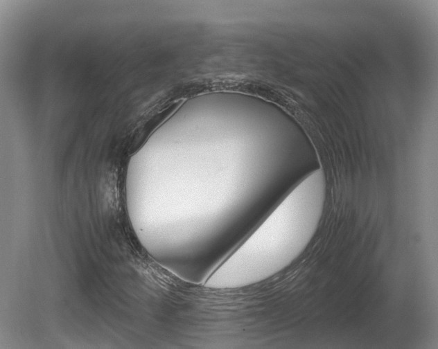 X0000081571252200701151017